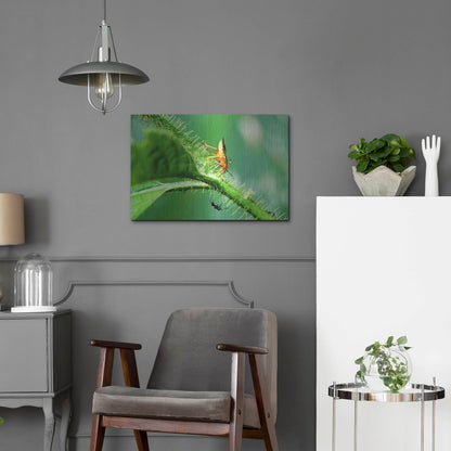 Luxe Metal Art 'Two Lane Highway' by Dana Brett Munach, Metal Wall Art,24x16