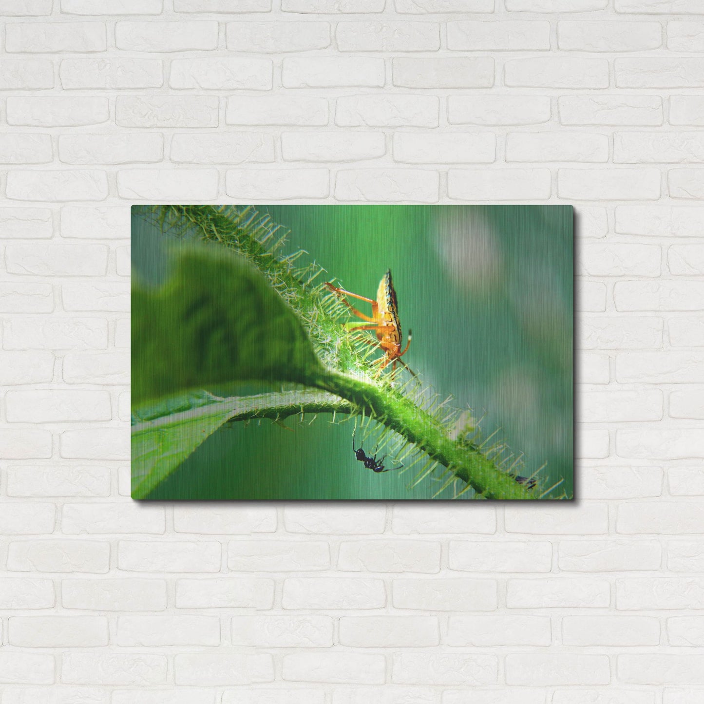 Luxe Metal Art 'Two Lane Highway' by Dana Brett Munach, Metal Wall Art,36x24