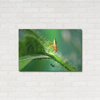 Luxe Metal Art 'Two Lane Highway' by Dana Brett Munach, Metal Wall Art,36x24