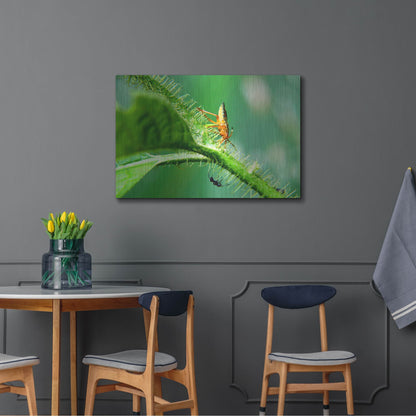 Luxe Metal Art 'Two Lane Highway' by Dana Brett Munach, Metal Wall Art,36x24