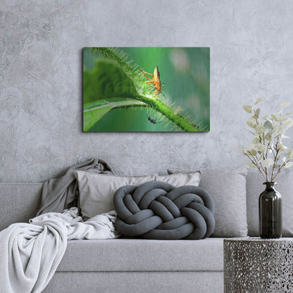 Luxe Metal Art 'Two Lane Highway' by Dana Brett Munach, Metal Wall Art,36x24