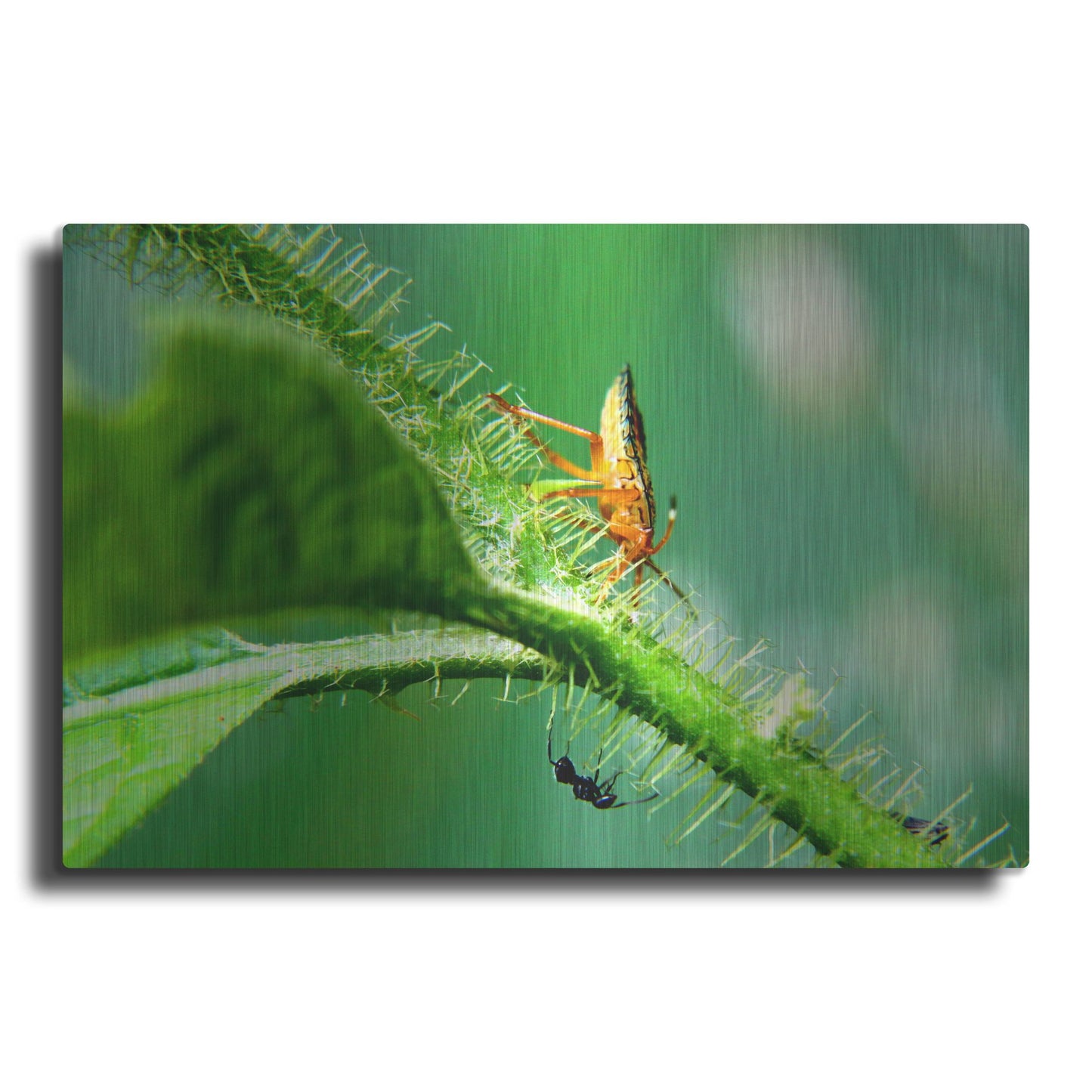 Luxe Metal Art 'Two Lane Highway' by Dana Brett Munach, Metal Wall Art