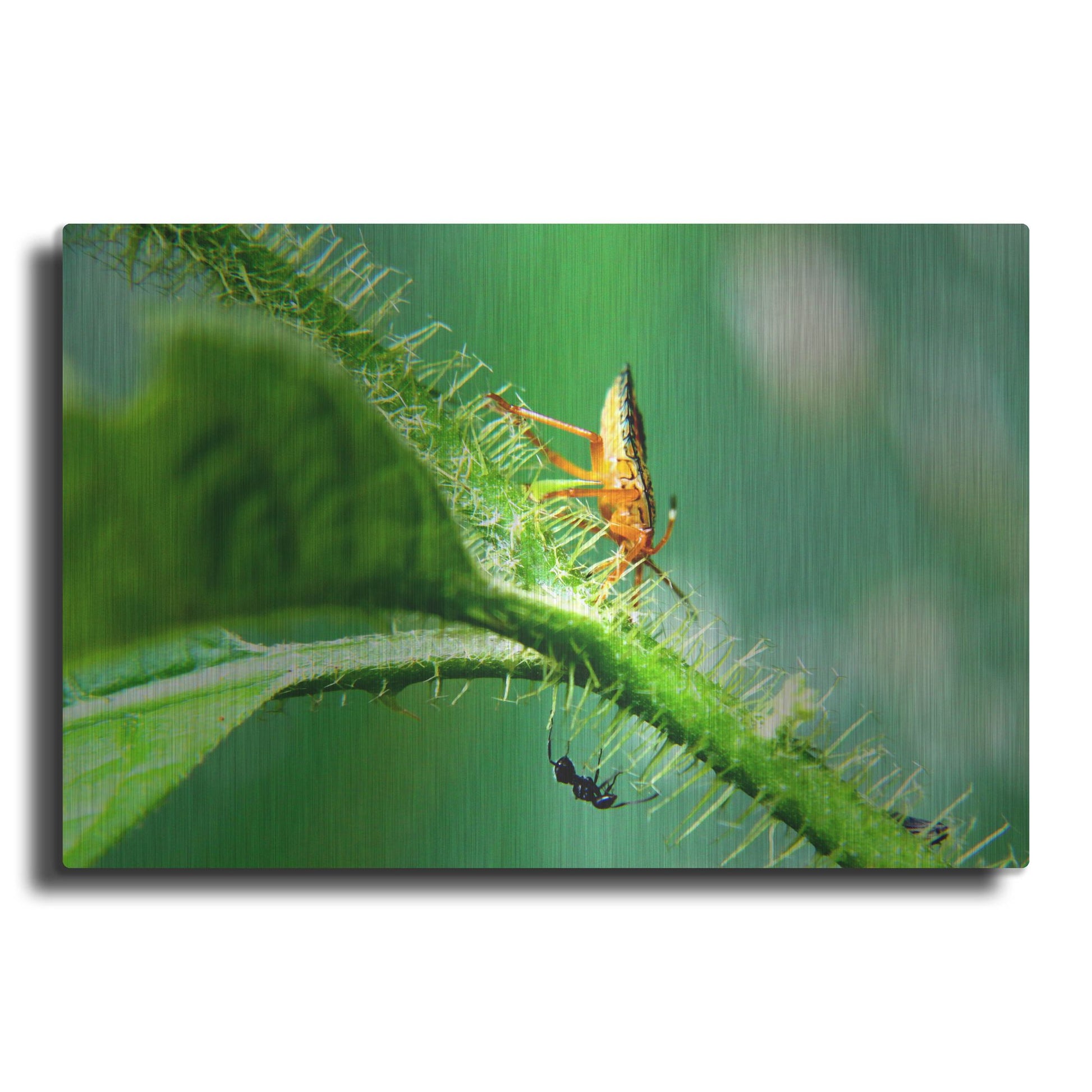 Luxe Metal Art 'Two Lane Highway' by Dana Brett Munach, Metal Wall Art