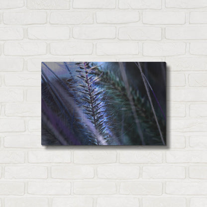 Luxe Metal Art 'Willow' by Dana Brett Munach, Metal Wall Art,24x16