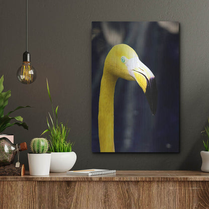 Luxe Metal Art 'Yellow Flamingo' by Dana Brett Munach, Metal Wall Art,12x16