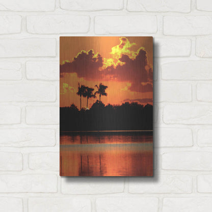 Luxe Metal Art 'Red Sky At Night' by Dana Brett Munach, Metal Wall Art,12x16