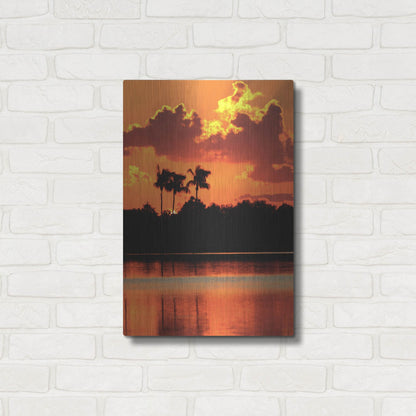 Luxe Metal Art 'Red Sky At Night' by Dana Brett Munach, Metal Wall Art,16x24