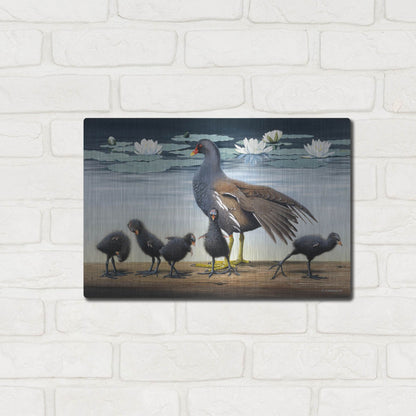 Luxe Metal Art 'Common Gallinule With Chicken And Water-Lilies' by Harro Maass, Metal Wall Art,16x12