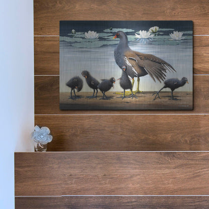 Luxe Metal Art 'Common Gallinule With Chicken And Water-Lilies' by Harro Maass, Metal Wall Art,16x12