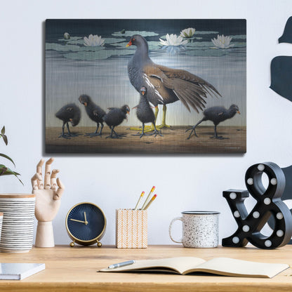 Luxe Metal Art 'Common Gallinule With Chicken And Water-Lilies' by Harro Maass, Metal Wall Art,16x12