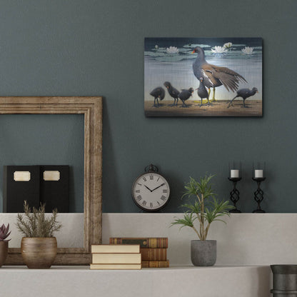 Luxe Metal Art 'Common Gallinule With Chicken And Water-Lilies' by Harro Maass, Metal Wall Art,16x12