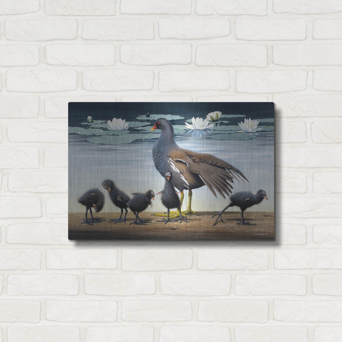 Luxe Metal Art 'Common Gallinule With Chicken And Water-Lilies' by Harro Maass, Metal Wall Art,24x16