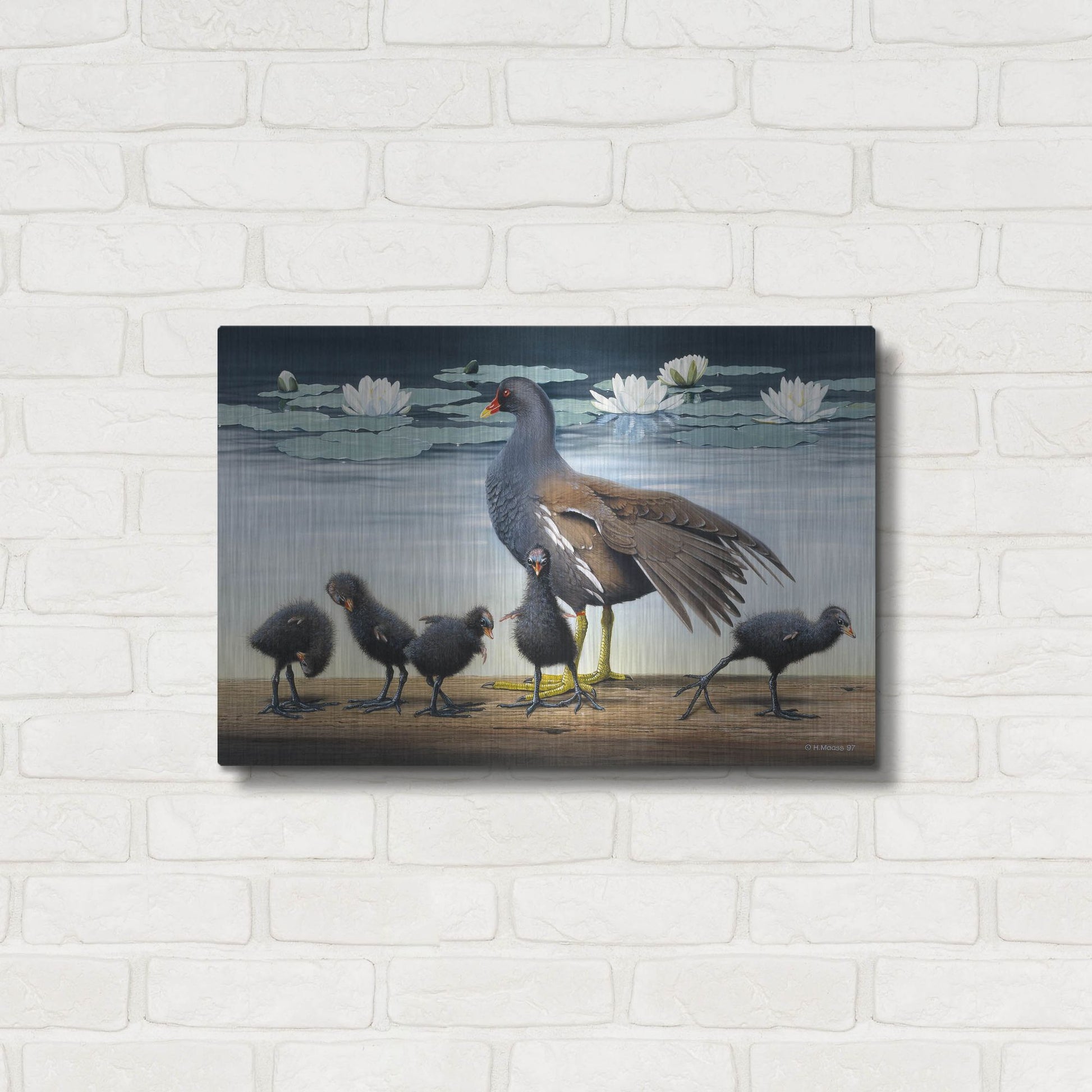 Luxe Metal Art 'Common Gallinule With Chicken And Water-Lilies' by Harro Maass, Metal Wall Art,24x16