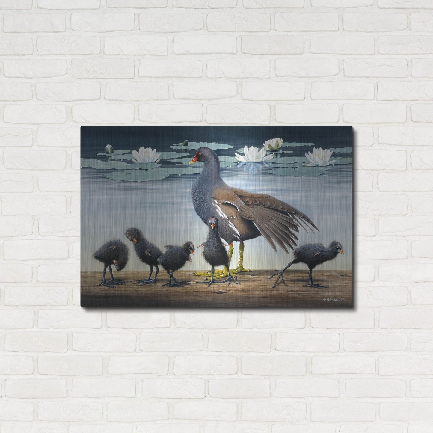 Luxe Metal Art 'Common Gallinule With Chicken And Water-Lilies' by Harro Maass, Metal Wall Art,36x24