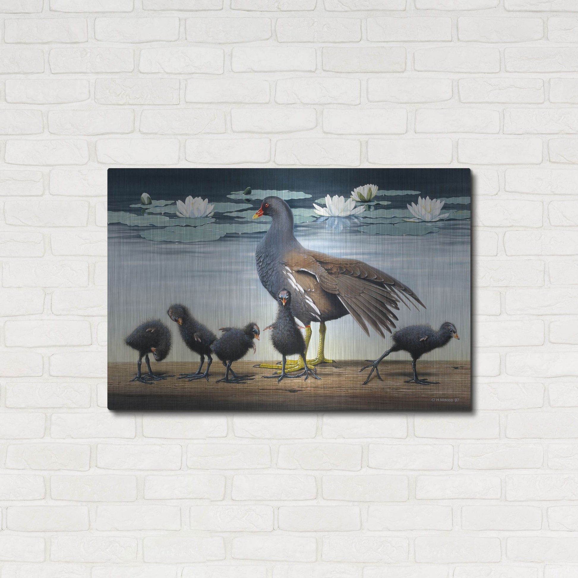 Luxe Metal Art 'Common Gallinule With Chicken And Water-Lilies' by Harro Maass, Metal Wall Art,36x24
