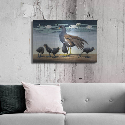 Luxe Metal Art 'Common Gallinule With Chicken And Water-Lilies' by Harro Maass, Metal Wall Art,36x24