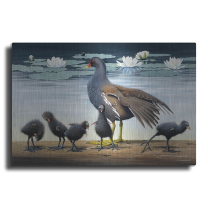 Luxe Metal Art 'Common Gallinule With Chicken And Water-Lilies' by Harro Maass, Metal Wall Art