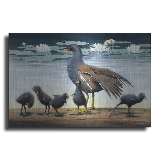 Luxe Metal Art 'Common Gallinule With Chicken And Water-Lilies' by Harro Maass, Metal Wall Art