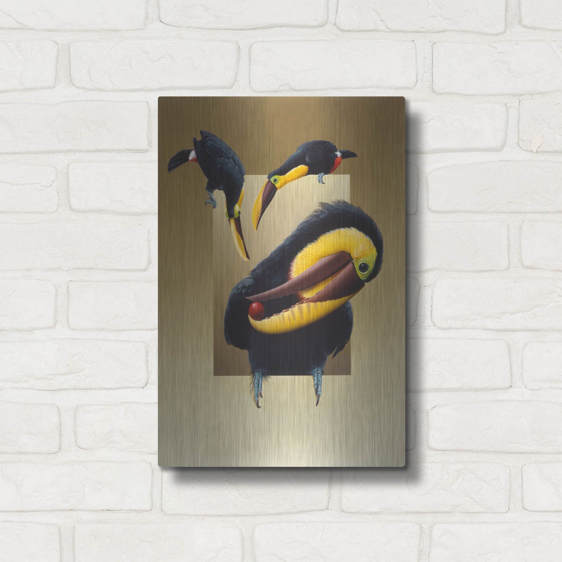 Luxe Metal Art 'Chestnut-Mandibled Toucans' by Harro Maass, Metal Wall Art,12x16