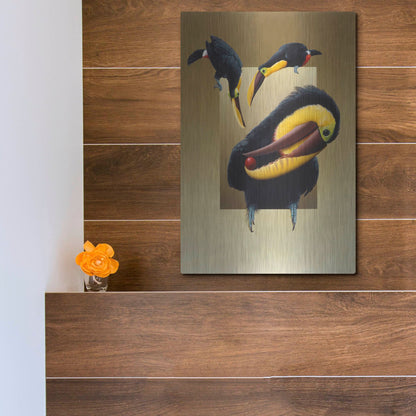 Luxe Metal Art 'Chestnut-Mandibled Toucans' by Harro Maass, Metal Wall Art,12x16