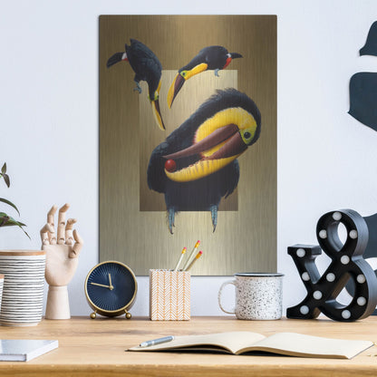 Luxe Metal Art 'Chestnut-Mandibled Toucans' by Harro Maass, Metal Wall Art,12x16