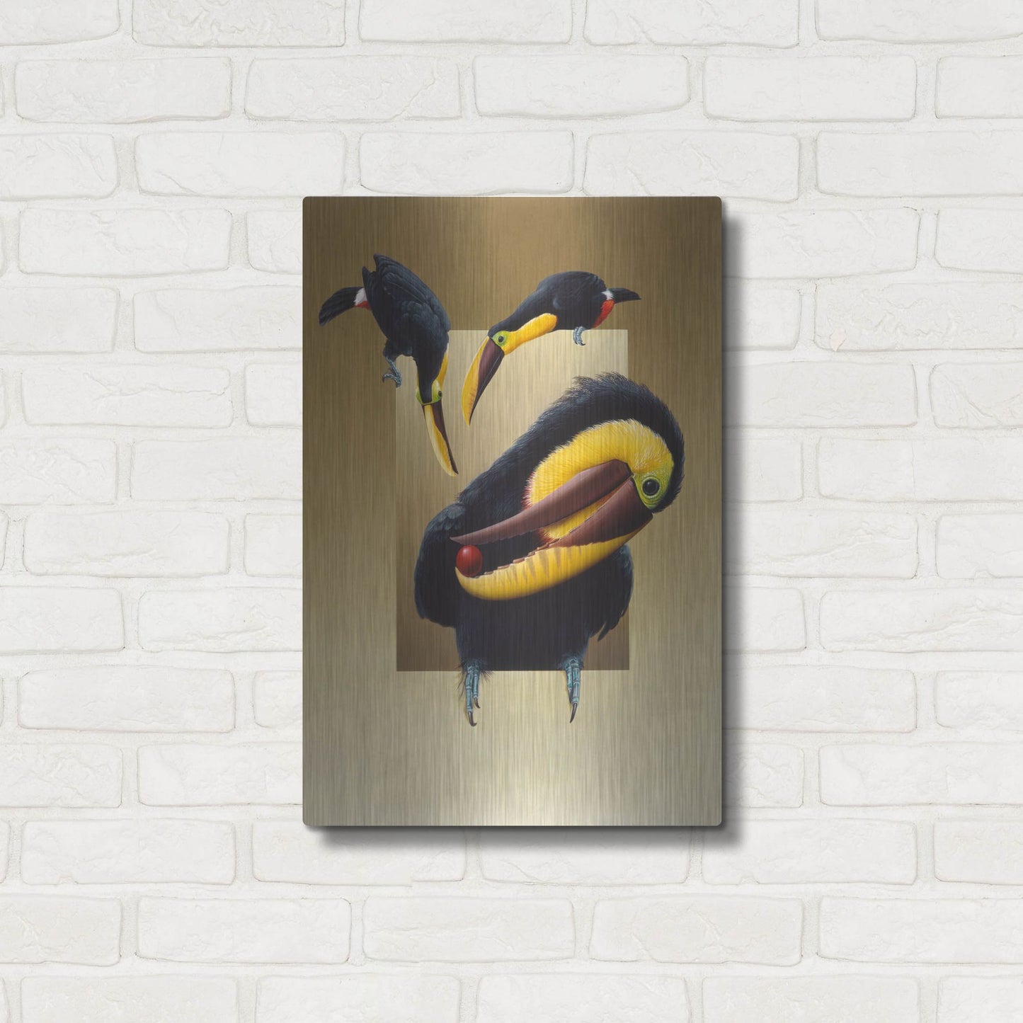 Luxe Metal Art 'Chestnut-Mandibled Toucans' by Harro Maass, Metal Wall Art,16x24