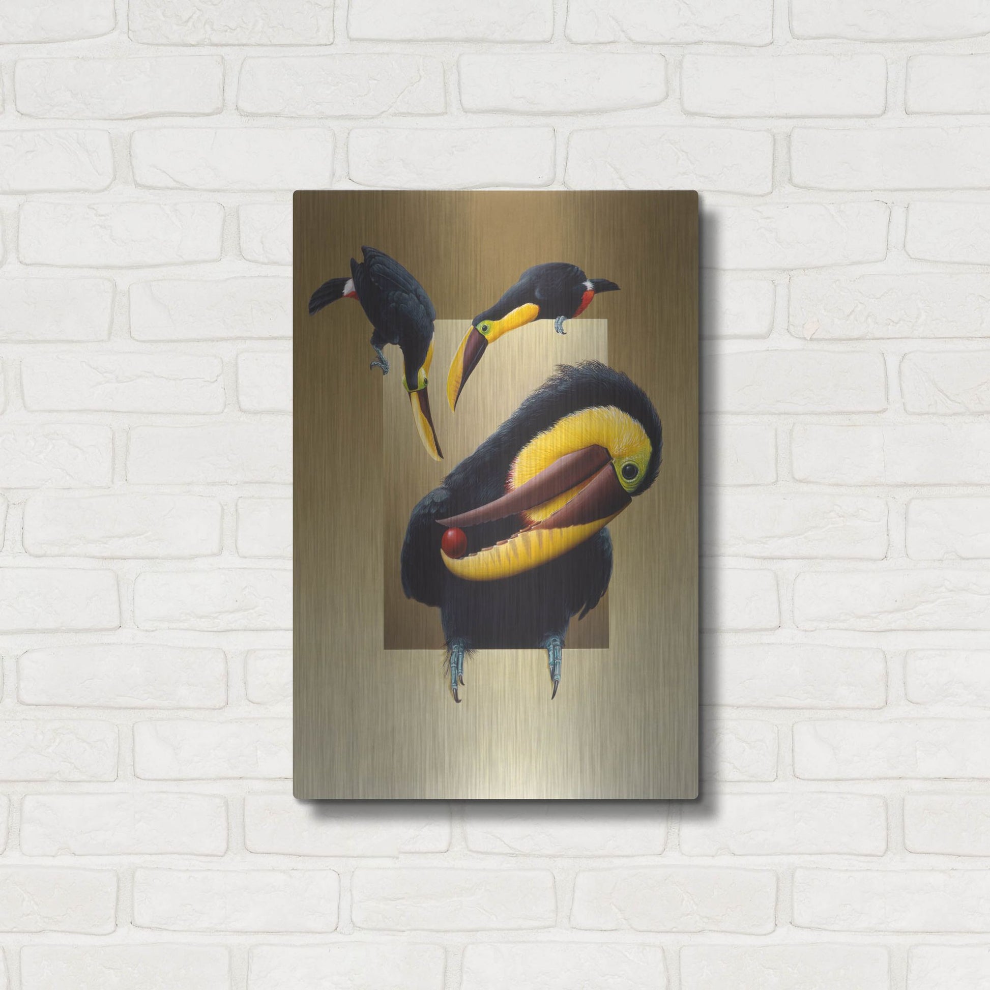 Luxe Metal Art 'Chestnut-Mandibled Toucans' by Harro Maass, Metal Wall Art,16x24