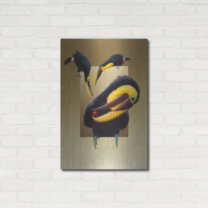 Luxe Metal Art 'Chestnut-Mandibled Toucans' by Harro Maass, Metal Wall Art,24x36