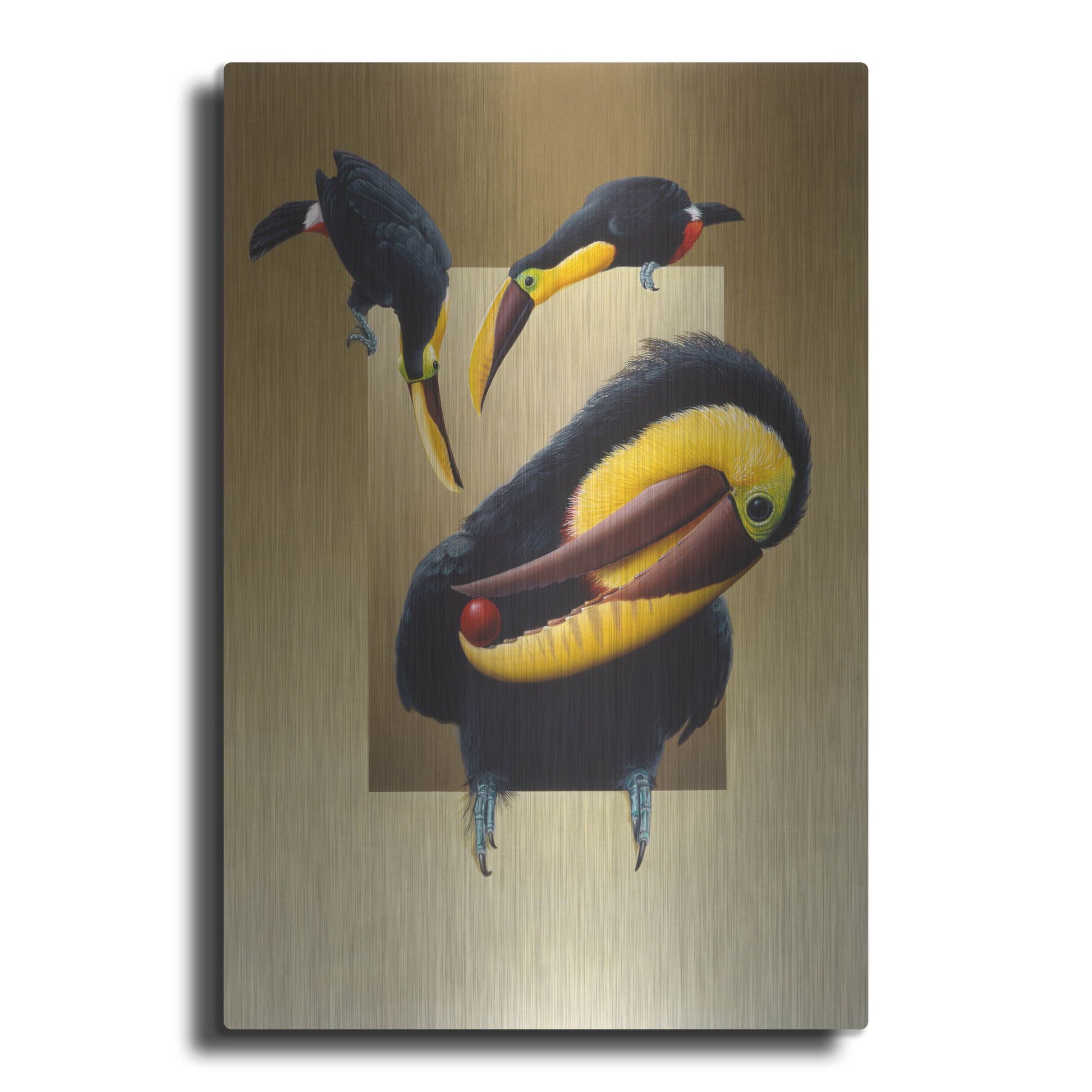 Luxe Metal Art 'Chestnut-Mandibled Toucans' by Harro Maass, Metal Wall Art