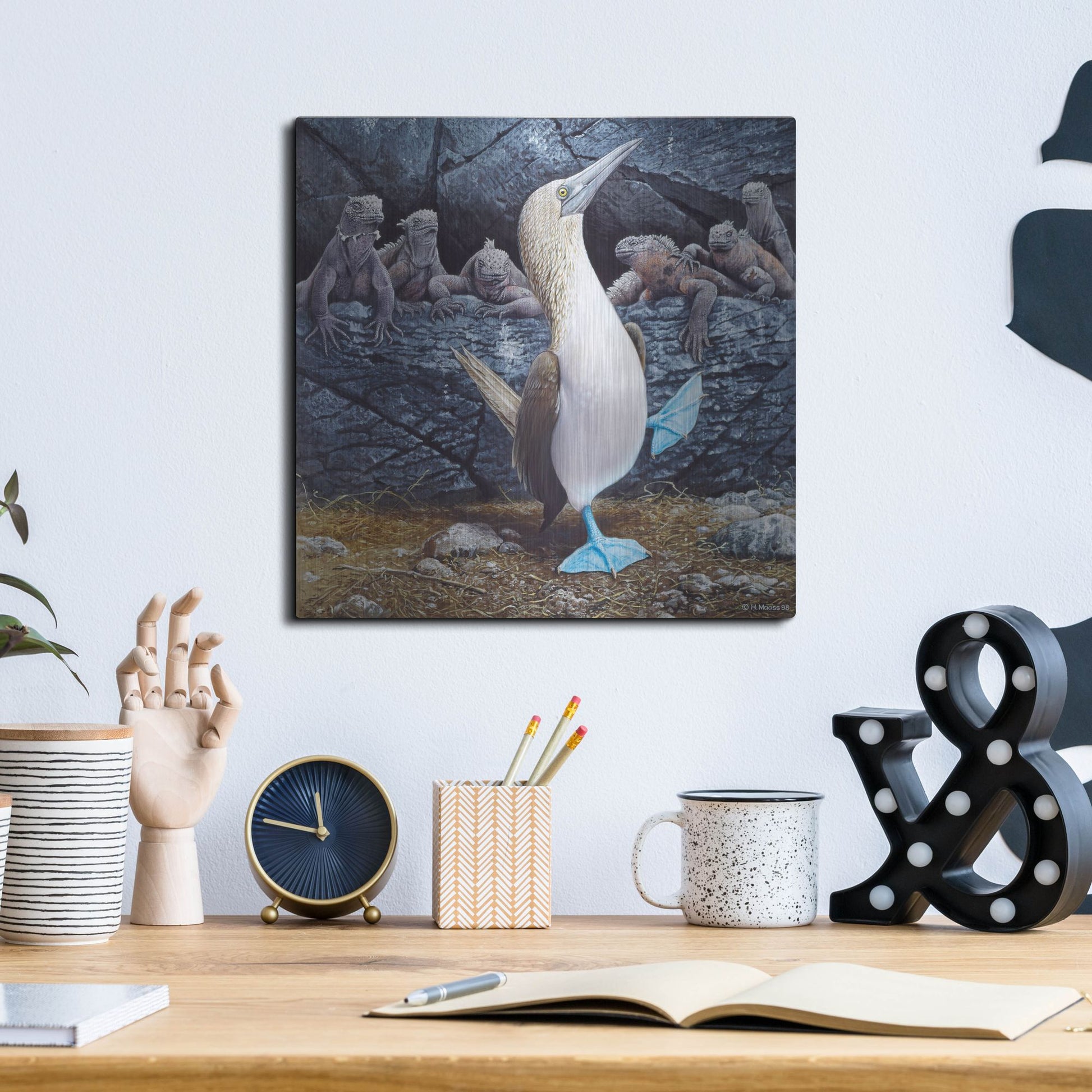 Luxe Metal Art 'Blue Footed Boobies' by Harro Maass, Metal Wall Art,12x12