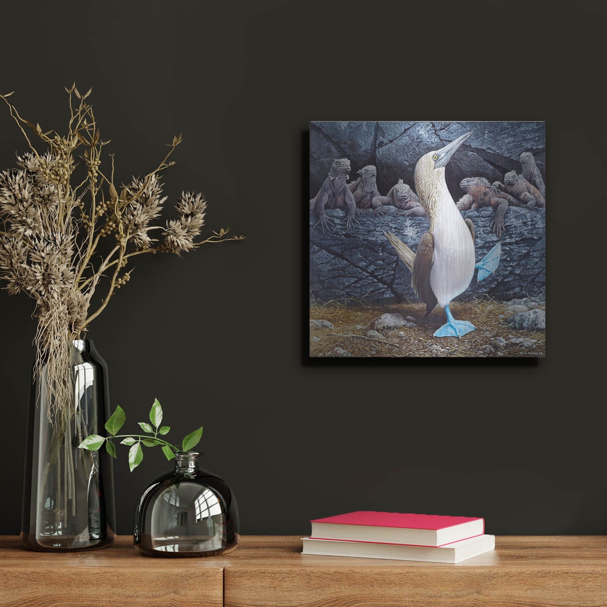 Luxe Metal Art 'Blue Footed Boobies' by Harro Maass, Metal Wall Art,12x12