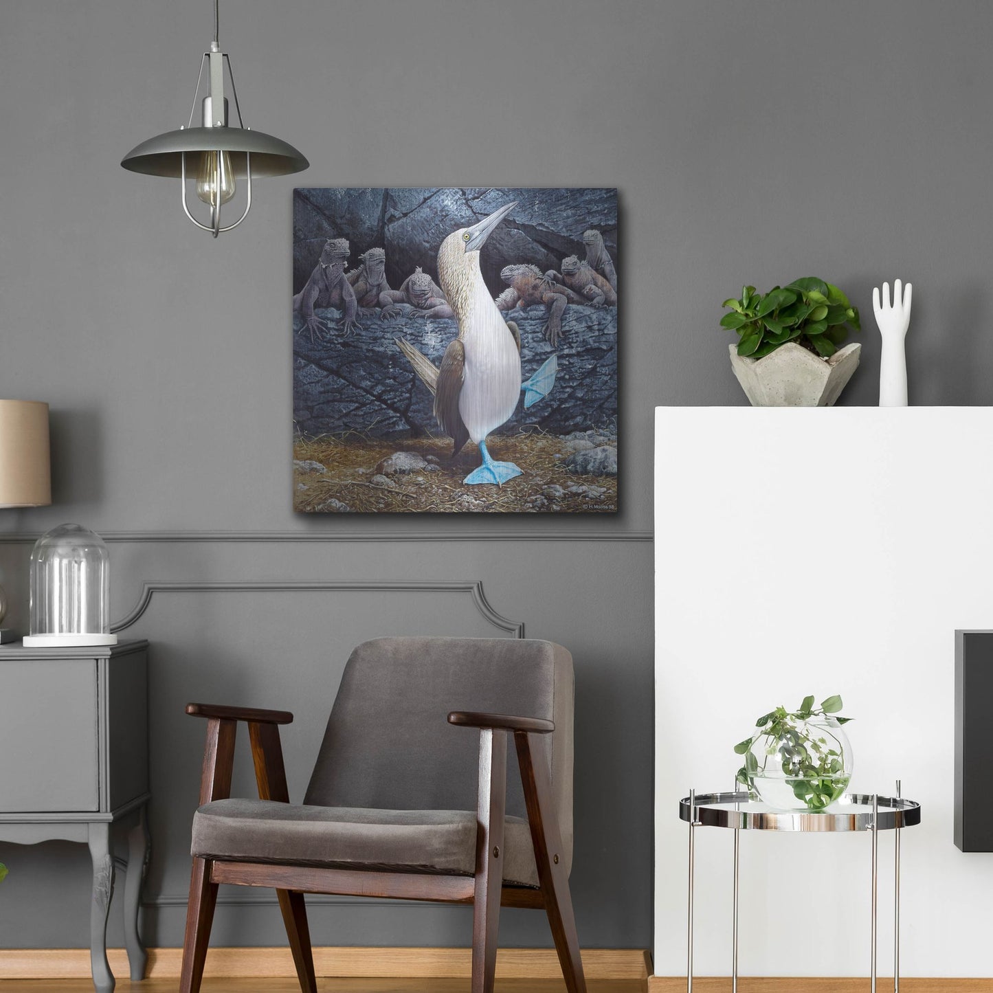 Luxe Metal Art 'Blue Footed Boobies' by Harro Maass, Metal Wall Art,24x24