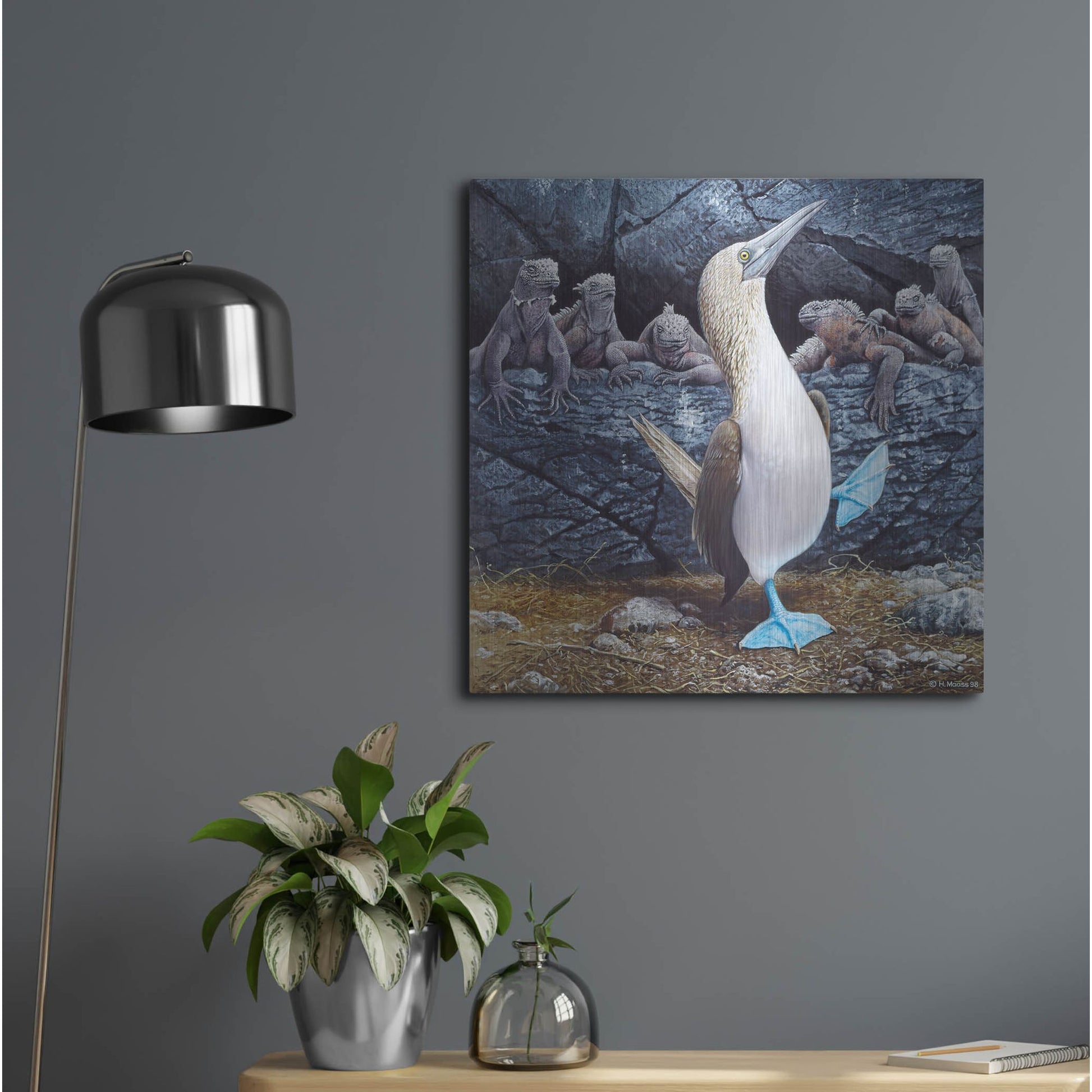 Luxe Metal Art 'Blue Footed Boobies' by Harro Maass, Metal Wall Art,24x24