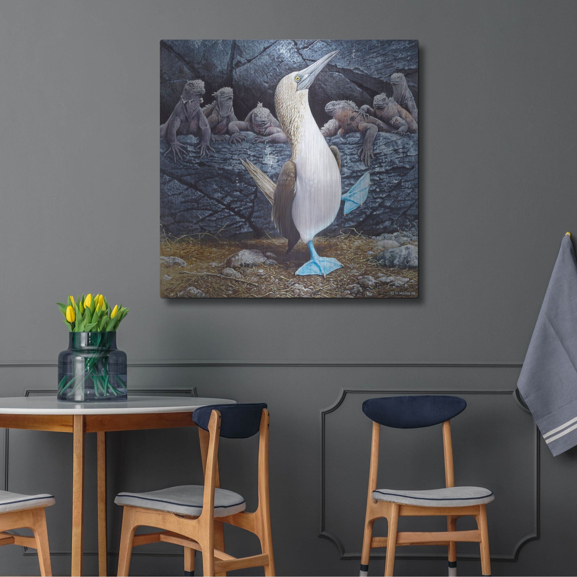 Luxe Metal Art 'Blue Footed Boobies' by Harro Maass, Metal Wall Art,36x36