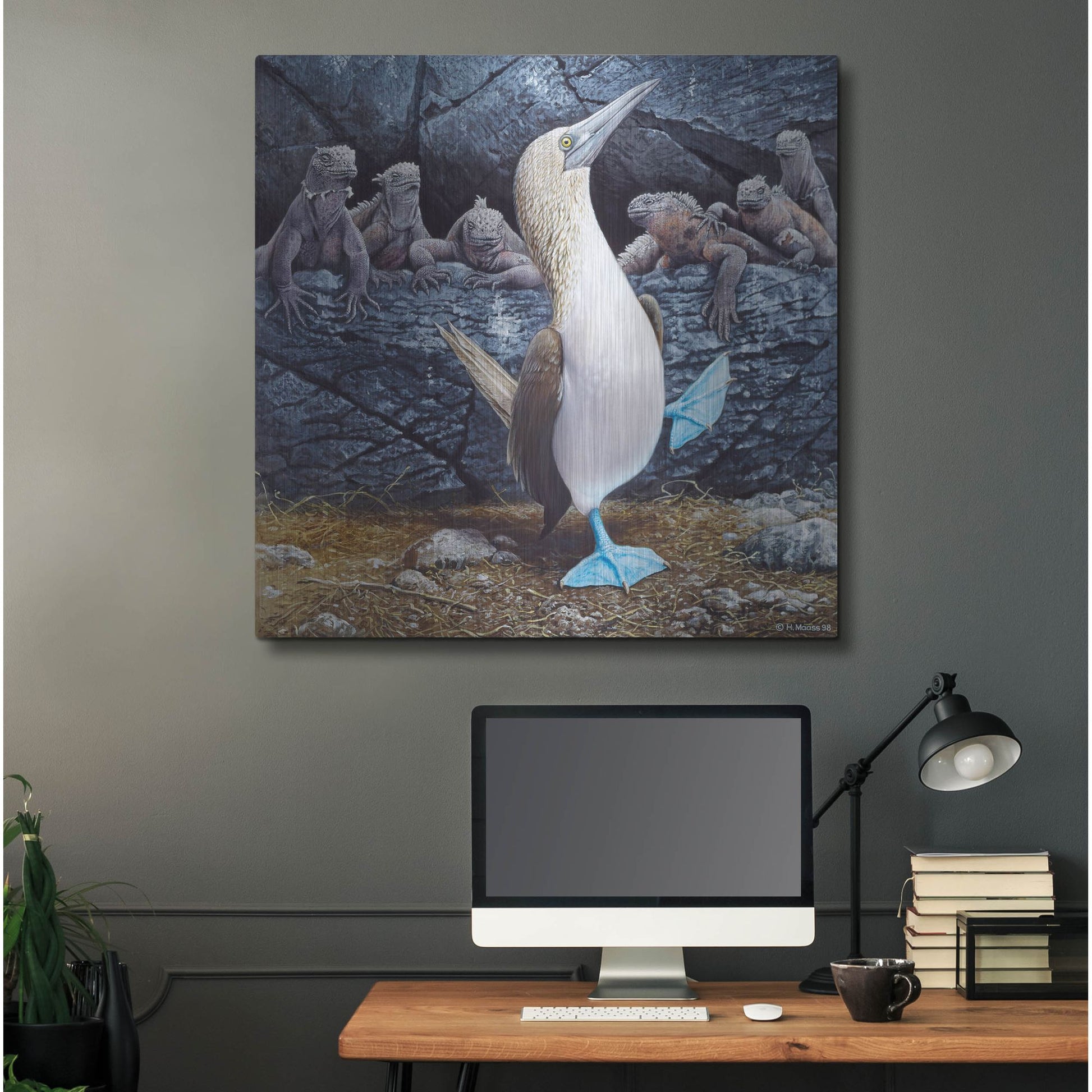 Luxe Metal Art 'Blue Footed Boobies' by Harro Maass, Metal Wall Art,36x36