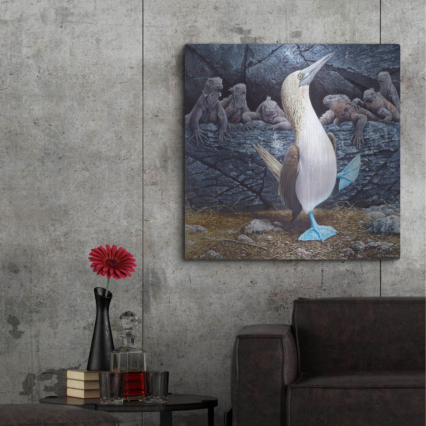 Luxe Metal Art 'Blue Footed Boobies' by Harro Maass, Metal Wall Art,36x36