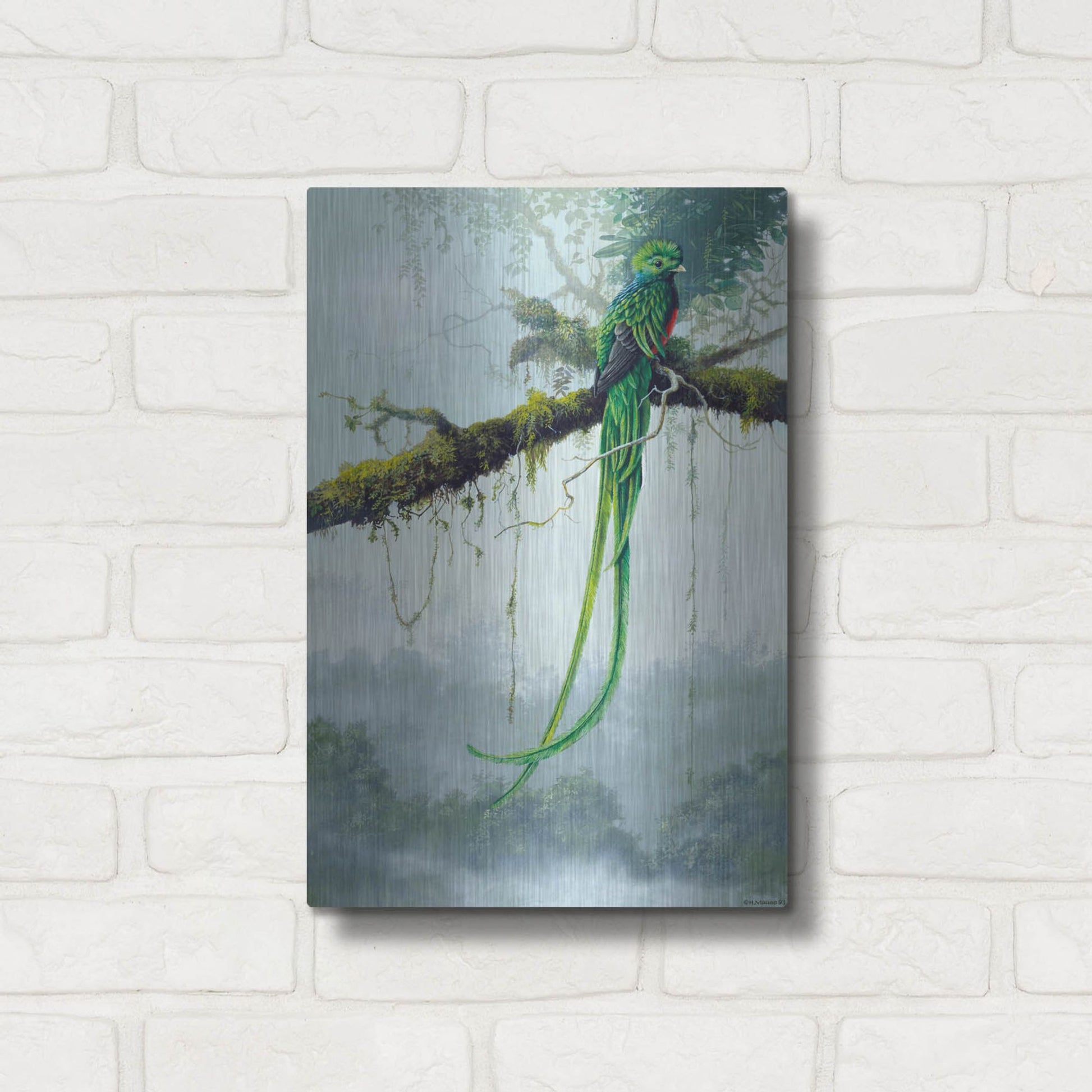 Luxe Metal Art 'Resplendent Quetzal' by Harro Maass, Metal Wall Art,12x16