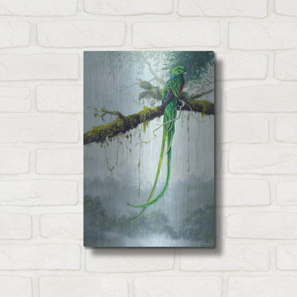 Luxe Metal Art 'Resplendent Quetzal' by Harro Maass, Metal Wall Art,12x16