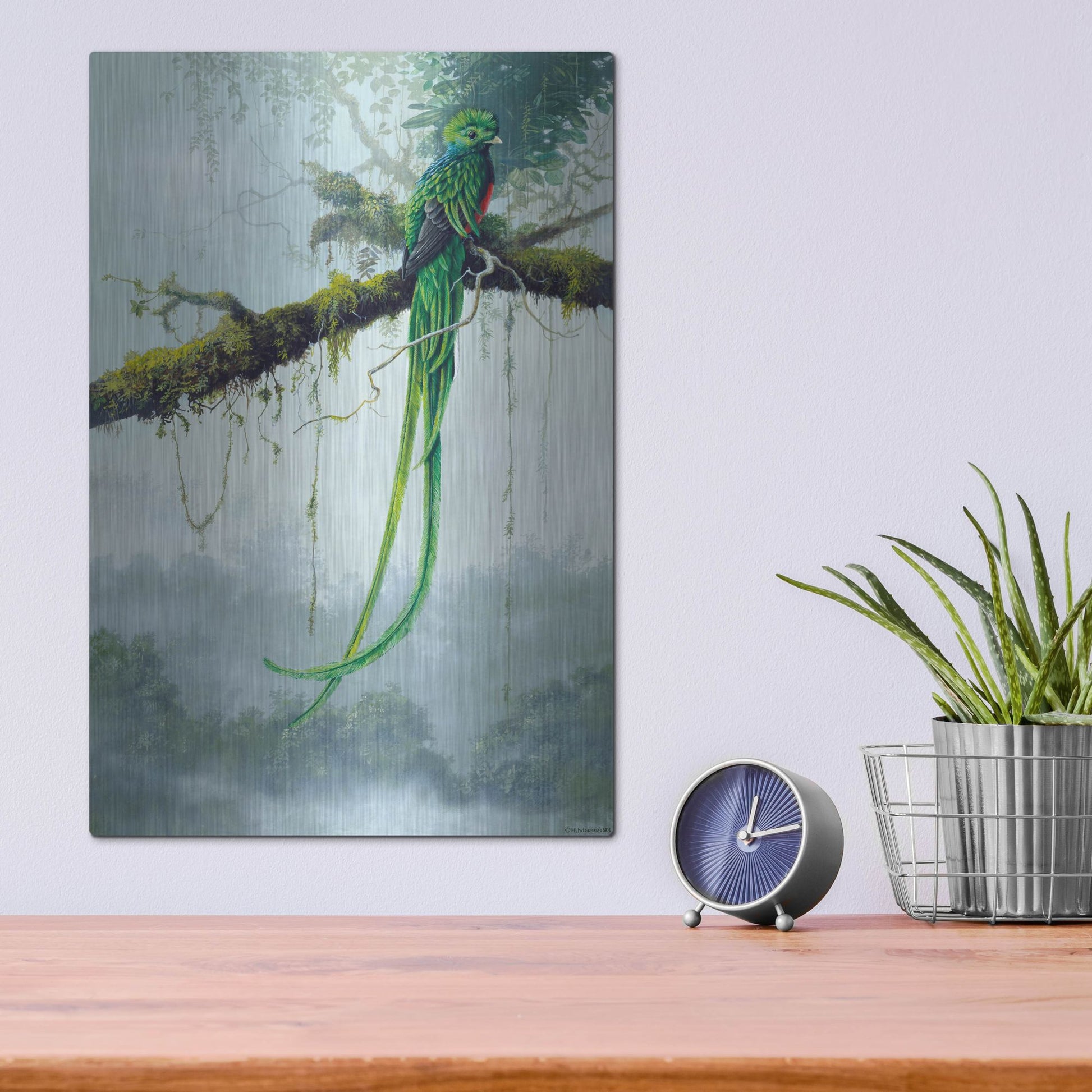 Luxe Metal Art 'Resplendent Quetzal' by Harro Maass, Metal Wall Art,12x16