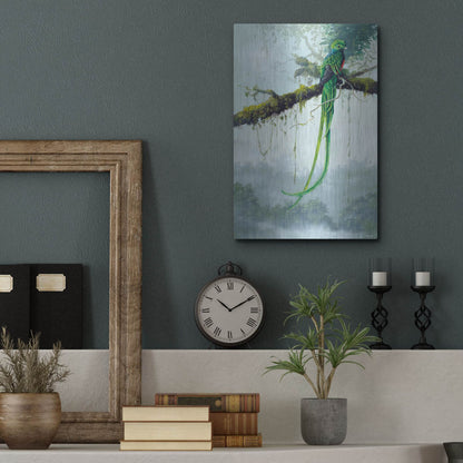 Luxe Metal Art 'Resplendent Quetzal' by Harro Maass, Metal Wall Art,12x16
