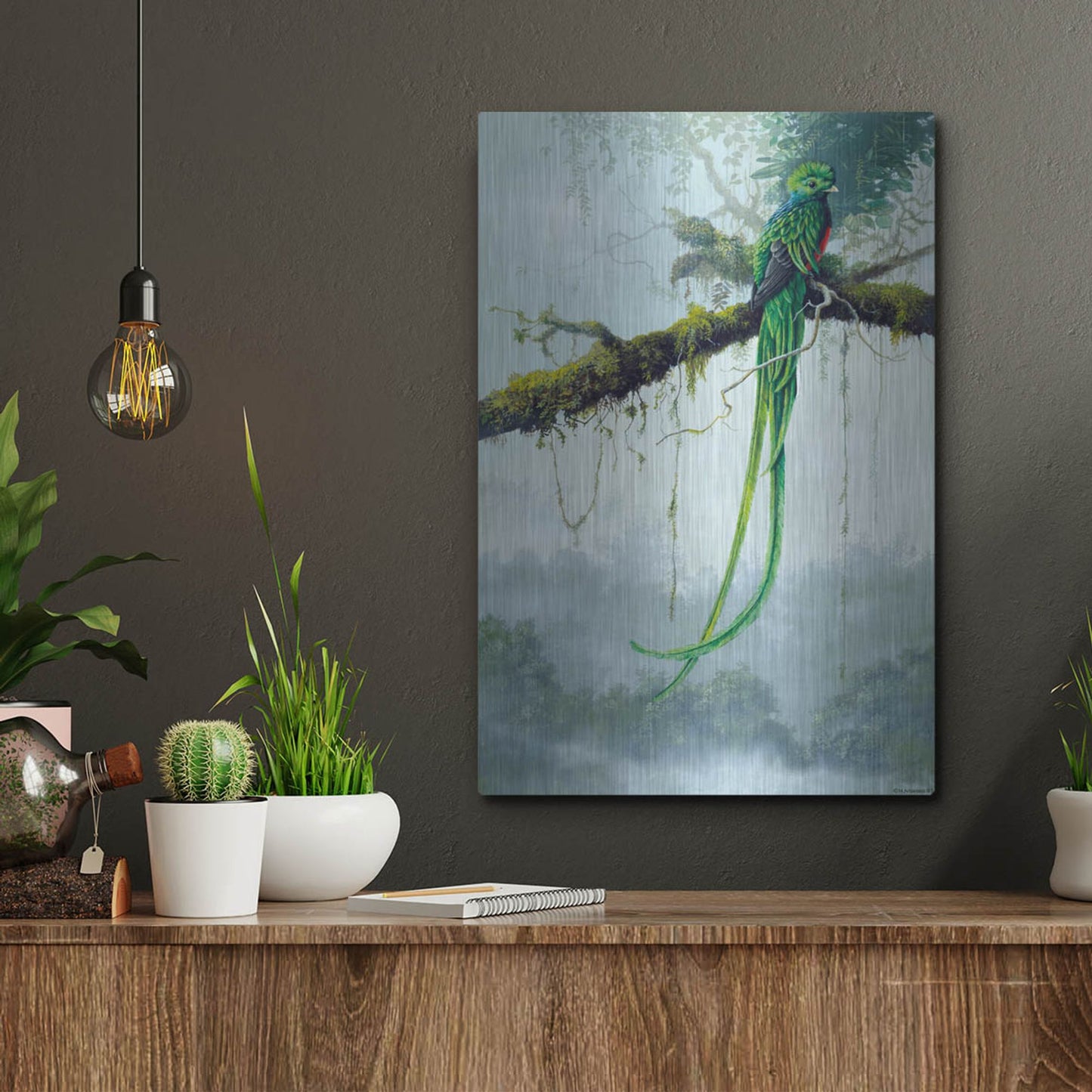 Luxe Metal Art 'Resplendent Quetzal' by Harro Maass, Metal Wall Art,12x16