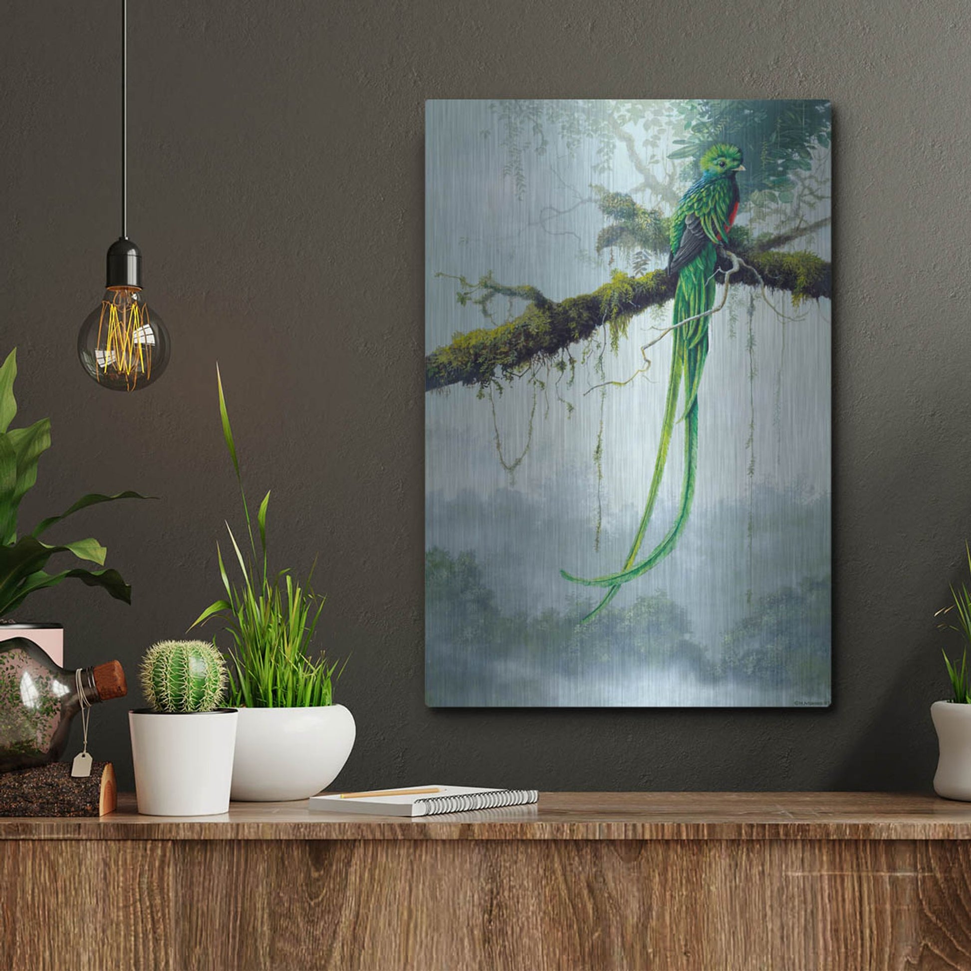 Luxe Metal Art 'Resplendent Quetzal' by Harro Maass, Metal Wall Art,12x16
