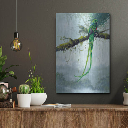 Luxe Metal Art 'Resplendent Quetzal' by Harro Maass, Metal Wall Art,12x16