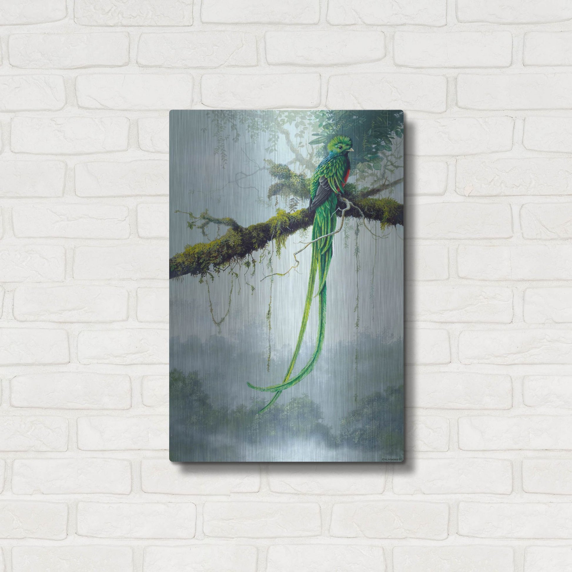 Luxe Metal Art 'Resplendent Quetzal' by Harro Maass, Metal Wall Art,16x24