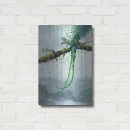 Luxe Metal Art 'Resplendent Quetzal' by Harro Maass, Metal Wall Art,16x24