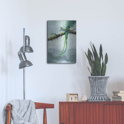 Luxe Metal Art 'Resplendent Quetzal' by Harro Maass, Metal Wall Art,16x24