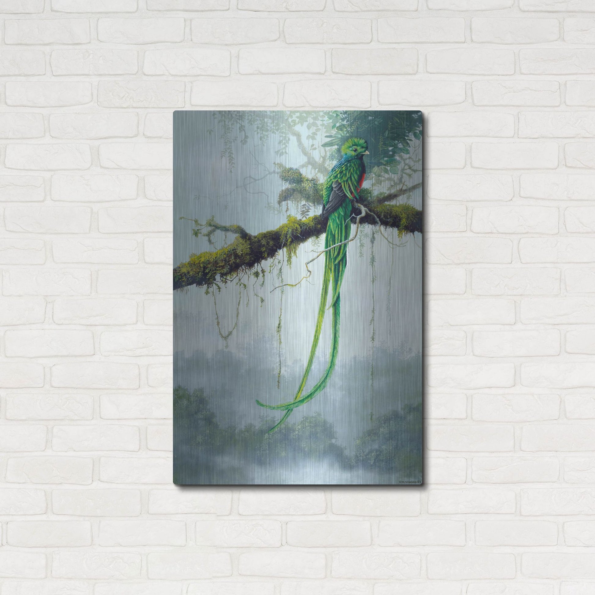 Luxe Metal Art 'Resplendent Quetzal' by Harro Maass, Metal Wall Art,24x36