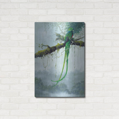 Luxe Metal Art 'Resplendent Quetzal' by Harro Maass, Metal Wall Art,24x36