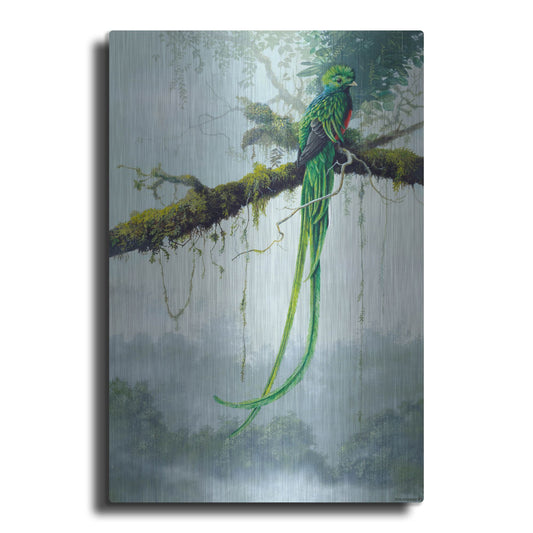 Luxe Metal Art 'Resplendent Quetzal' by Harro Maass, Metal Wall Art