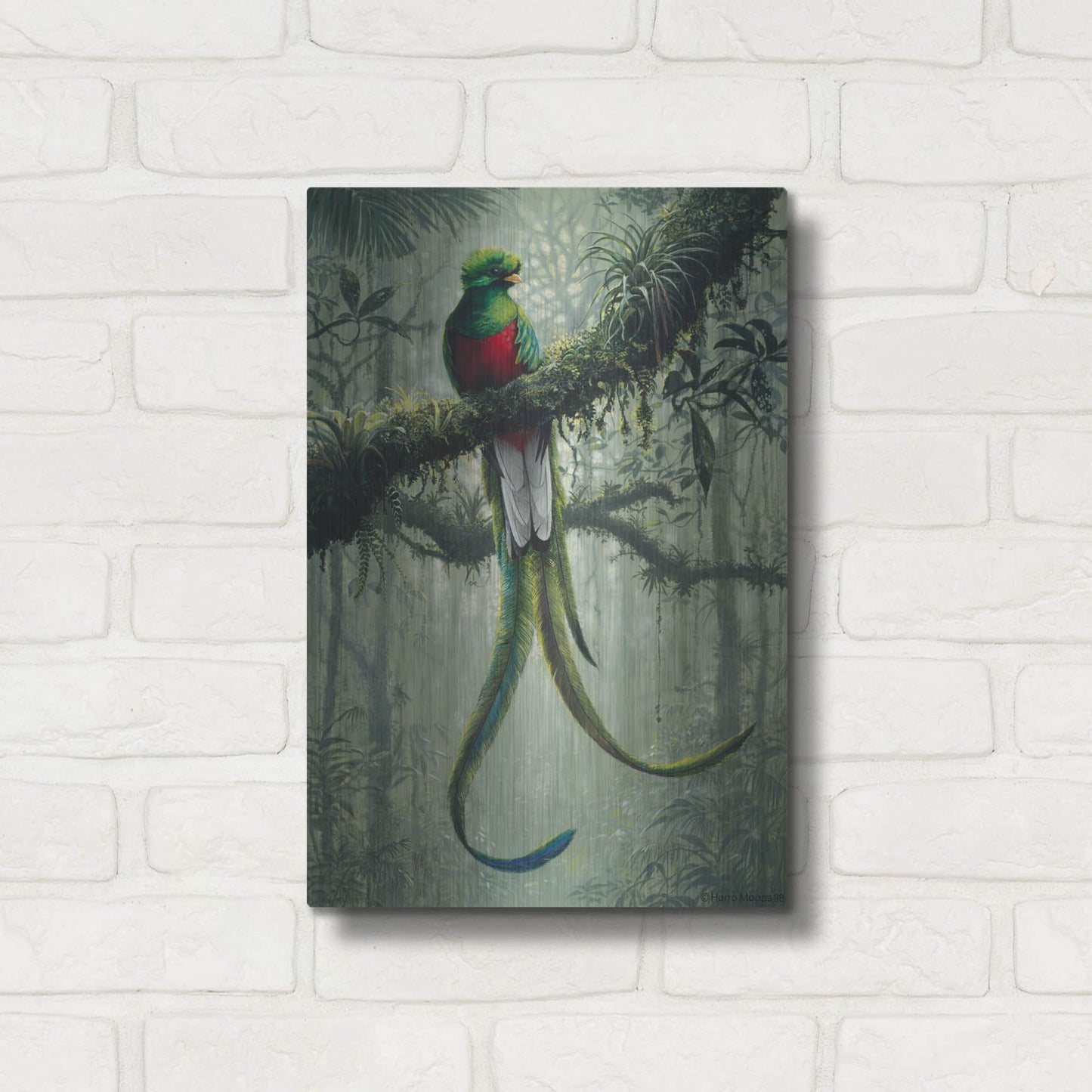 Luxe Metal Art 'Resplendent Quetzal 2' by Harro Maass, Metal Wall Art,12x16